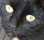 black boy