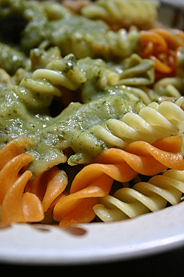 spiral pasta picture