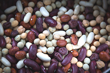 dried beans picture