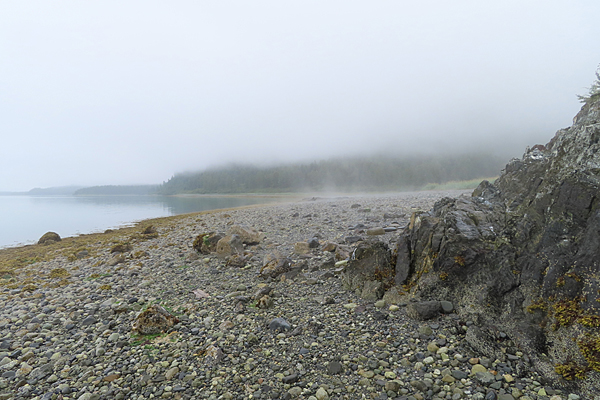Adams inlet Glacier Bay National Park