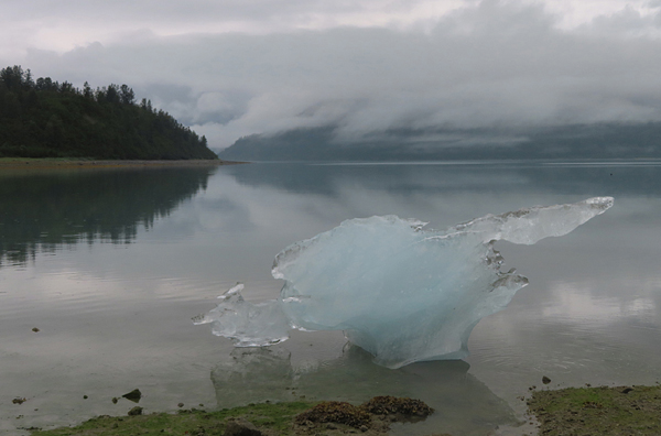 nunatuk cove Glacier Bay National Park
