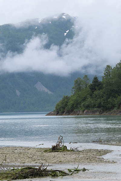 nunatuk cove Glacier Bay National Park