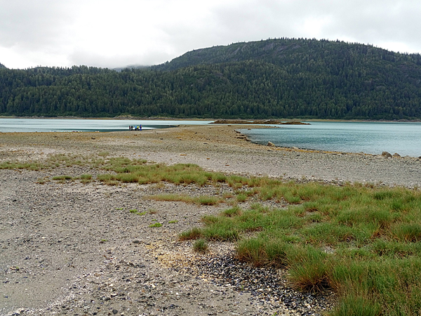 wachusett inlet Glacier Bay National Park