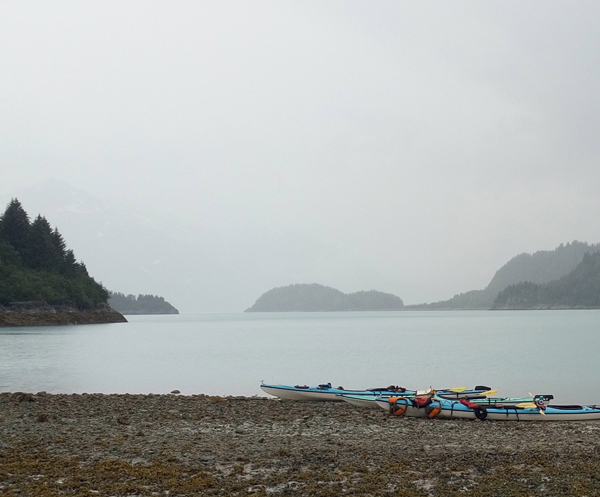 wachusett inlet Glacier Bay National Park