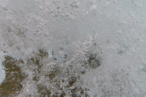 close up of glacier ice Glacier Bay Alaska