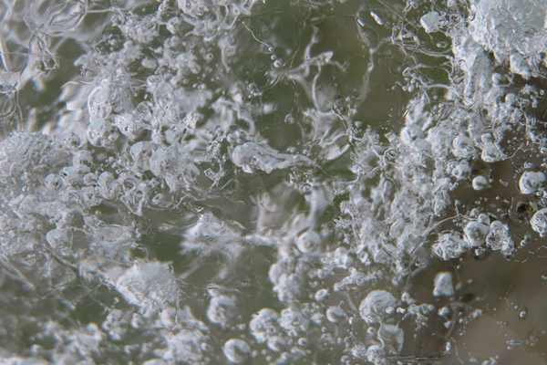 close up of glacier ice Glacier Bay Alaska