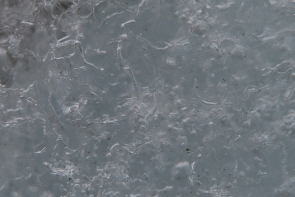 close up of glacier ice Glacier Bay Alaska