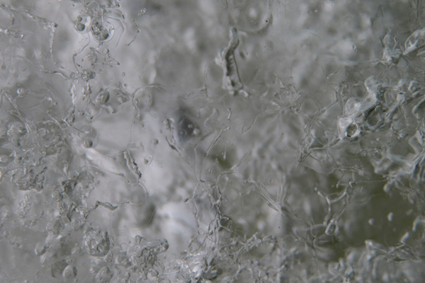 close up of glacier ice Glacier Bay Alaska