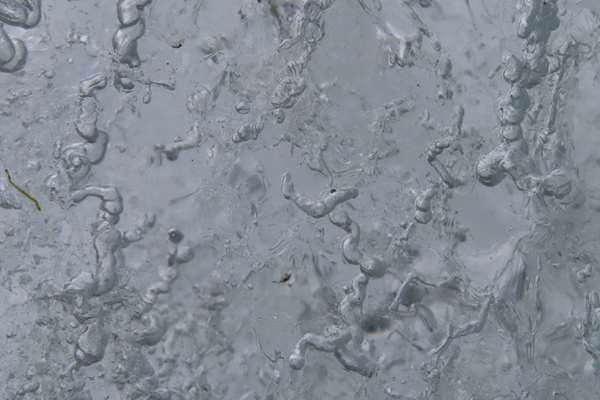 close up of glacier ice Glacier Bay Alaska