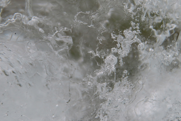 close up of glacier ice Glacier Bay Alaska