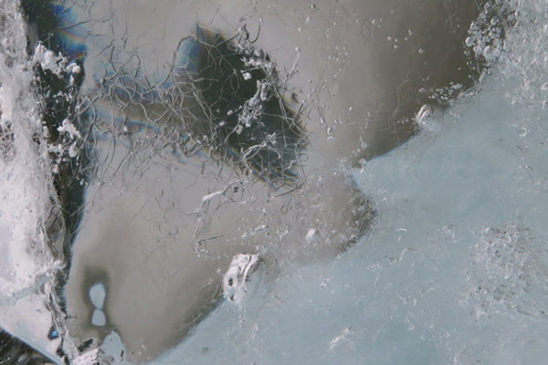 close up of glacier ice Glacier Bay Alaska