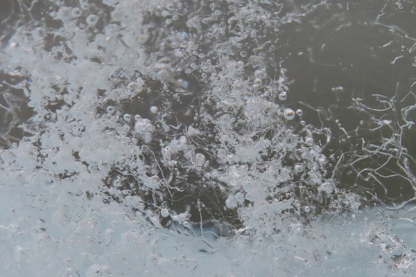 close up of glacier ice Glacier Bay Alaska