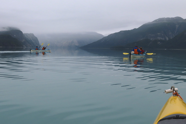 Kayaking in muir inlet Glacier Bay National Park Alaska