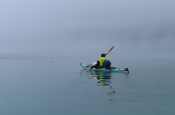 Kayaking in Glacier Bay National Park Alaska