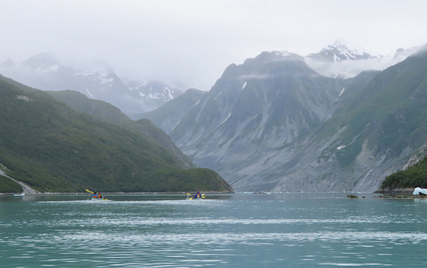 McBride Glacier area of Glacier Bay Alaska