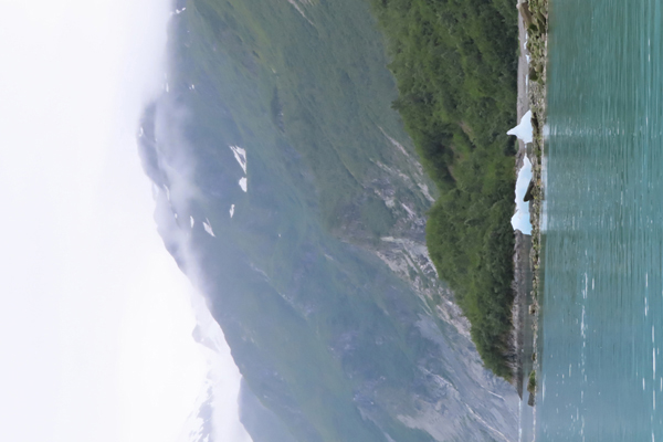 McBride Glacier area of Glacier Bay Alaska