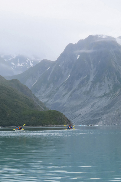 McBride Glacier area of Glacier Bay Alaska