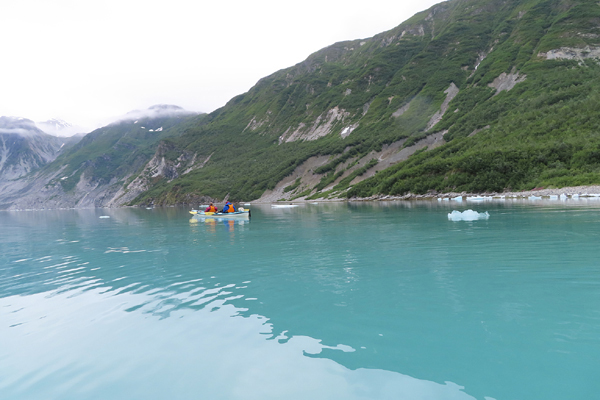 McBride Glacier area of Glacier Bay Alaska