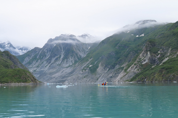 McBride Glacier area of Glacier Bay Alaska