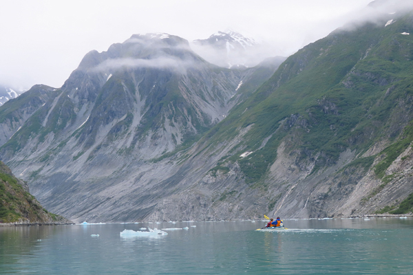 McBride Glacier area of Glacier Bay Alaska