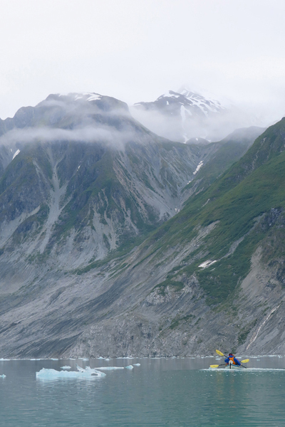 McBride Glacier area of Glacier Bay Alaska