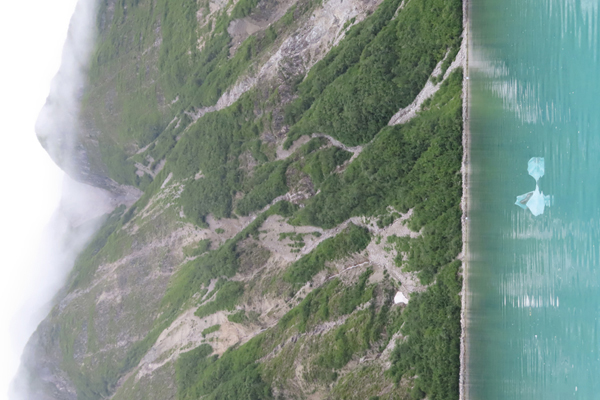 McBride Glacier area of Glacier Bay Alaska