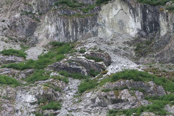 McBride Glacier area of Glacier Bay Alaska