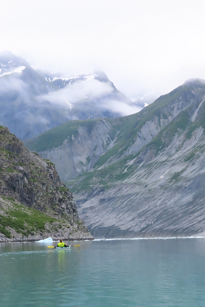 McBride Glacier area of Glacier Bay Alaska