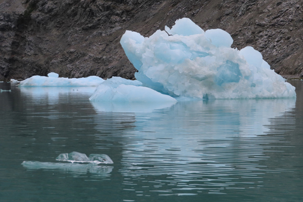 McBride Glacier area of Glacier Bay Alaska