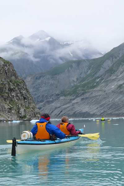 McBride Glacier area of Glacier Bay Alaska