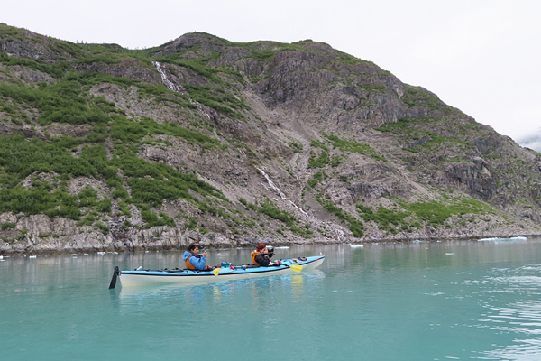 McBride Glacier area of Glacier Bay Alaska