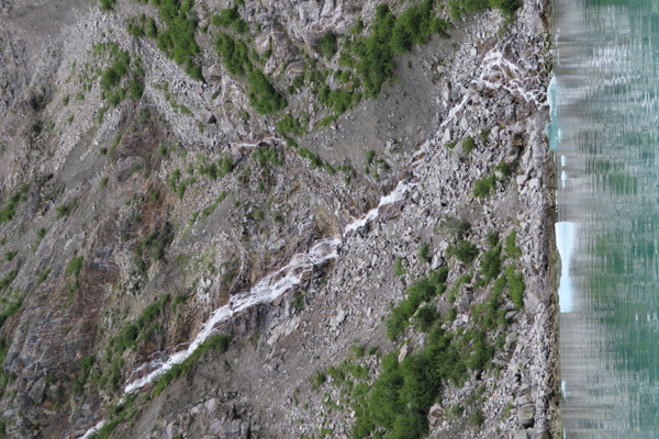 McBride Glacier area of Glacier Bay Alaska