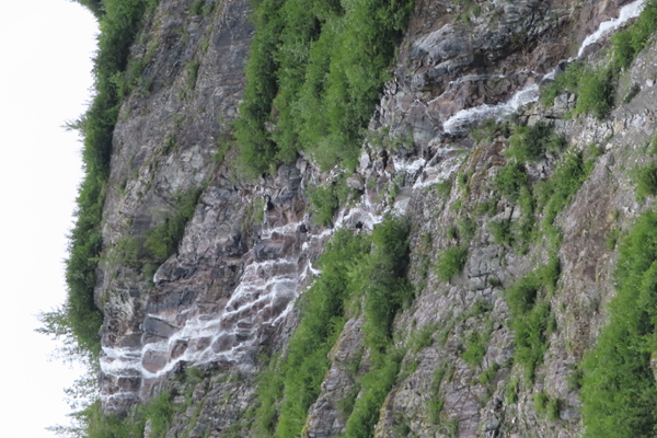 McBride Glacier area of Glacier Bay Alaska