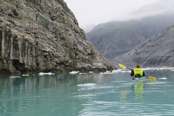 McBride Glacier area of Glacier Bay Alaska