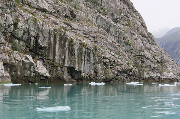 McBride Glacier area of Glacier Bay Alaska
