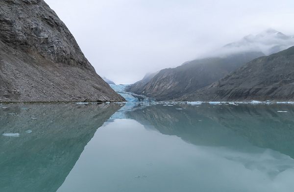 McBride Glacier area of Glacier Bay Alaska