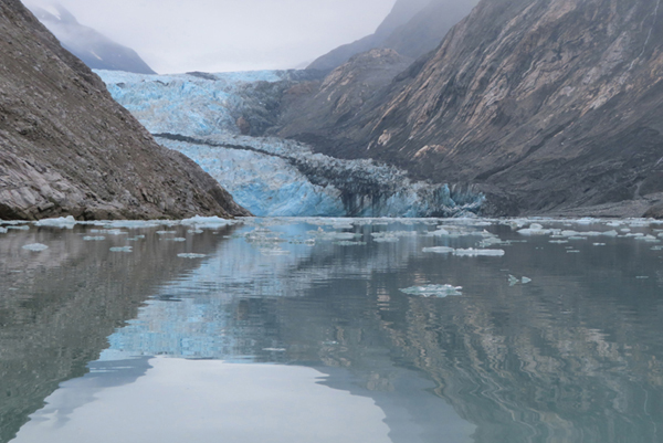 McBride Glacier area of Glacier Bay Alaska