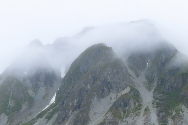 McBride Glacier area of Glacier Bay Alaska