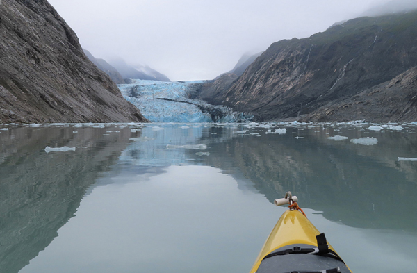 McBride Glacier area of Glacier Bay Alaska