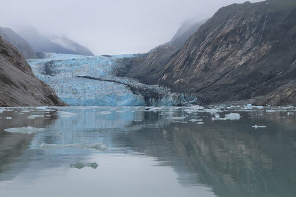 McBride Glacier area of Glacier Bay Alaska