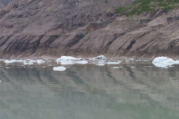 McBride Glacier area of Glacier Bay Alaska