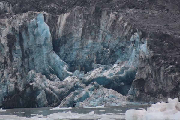 McBride Glacier area of Glacier Bay Alaska