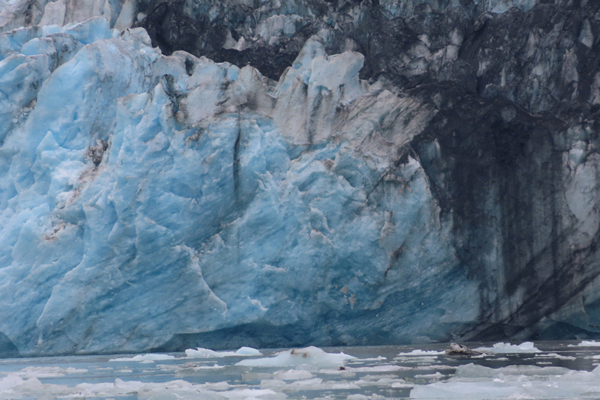 McBride Glacier area of Glacier Bay Alaska