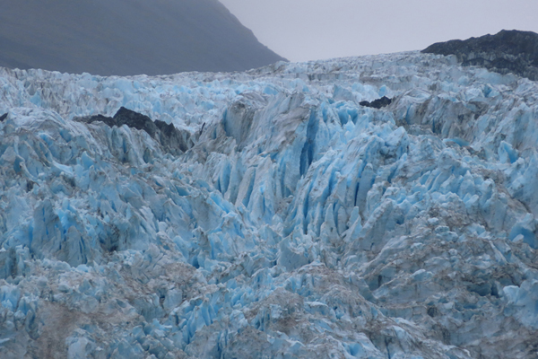 McBride Glacier area of Glacier Bay Alaska