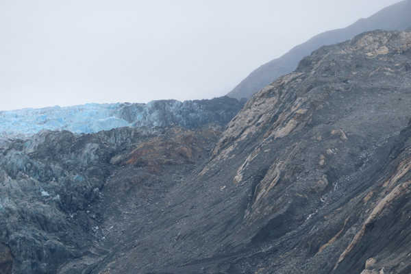 McBride Glacier area of Glacier Bay Alaska