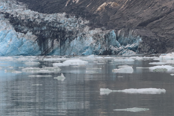 McBride Glacier area of Glacier Bay Alaska