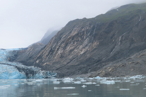 McBride Glacier area of Glacier Bay Alaska
