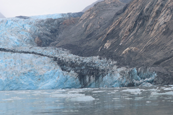McBride Glacier area of Glacier Bay Alaska