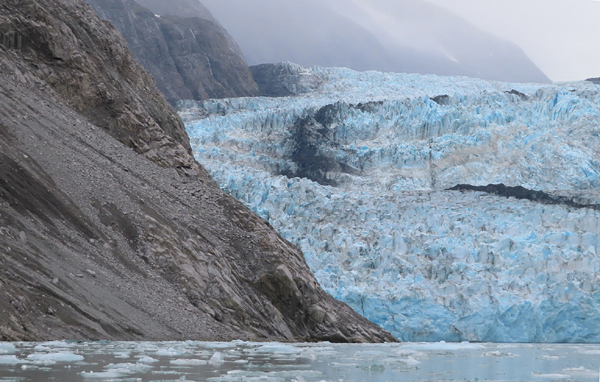 McBride Glacier area of Glacier Bay Alaska