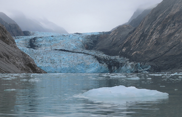 McBride Glacier area of Glacier Bay Alaska